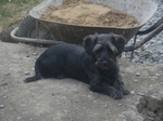 COOLPIX S1200pj, T:10/200, A:f/5.5, P:2, ISO400, F:221mm, EV:0 <br />12.06.2014 -  19:51:42